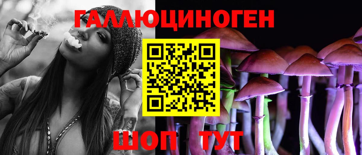 Махачкала  Галлюциногенные грибы Magic Shrooms  где продают   Псилоцибиновые грибы MAGIC MUSHROOMS  Вход с VPN 